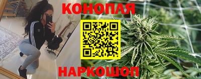 спайс Будённовск