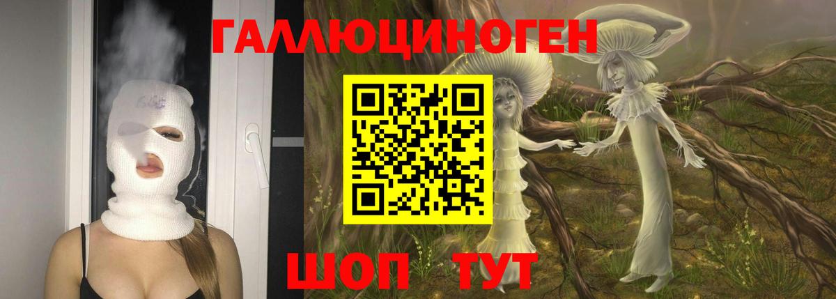 Галлюциногенные грибы Psilocybine cubensis Ростов-на-Дону
